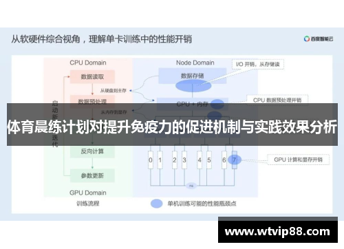 体育晨练计划对提升免疫力的促进机制与实践效果分析