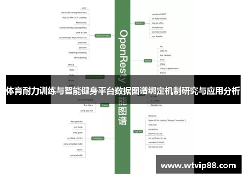 体育耐力训练与智能健身平台数据图谱绑定机制研究与应用分析